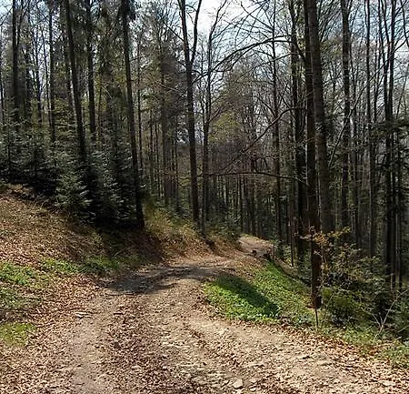 Watra Çiftlik konaklama *