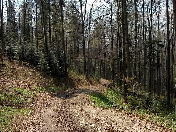 Watra בית חווה *