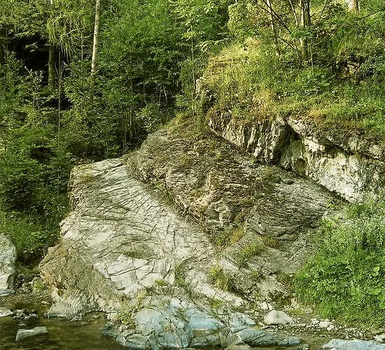 Watra * קונינקי