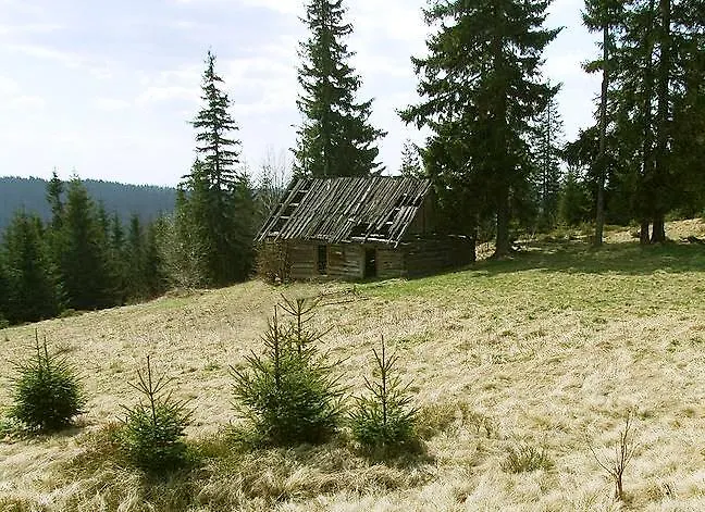 Watra קונינקי